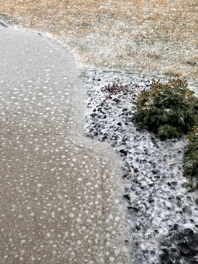 24.03.22 Mother Nature.jpg
